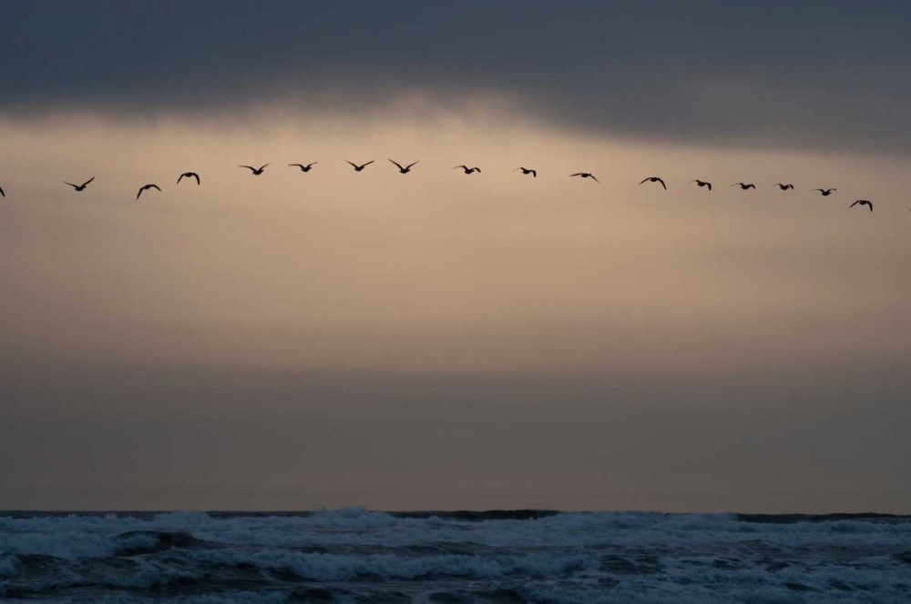 Oregon Coast Sunset I art print by Erin Berzel for $57.95 CAD