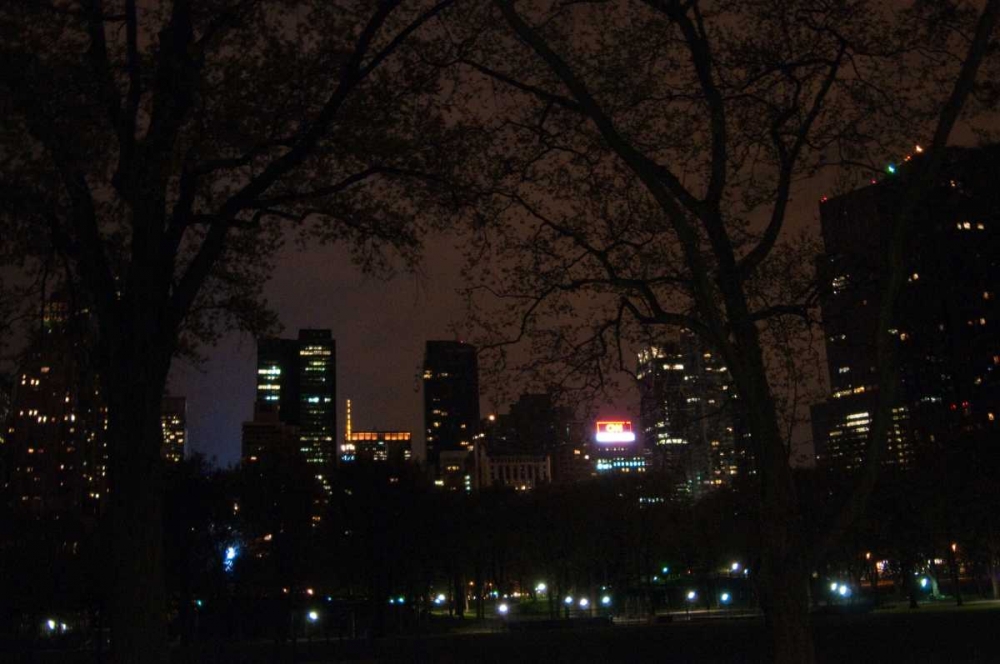 Central Park at Night II art print by Erin Berzel for $57.95 CAD