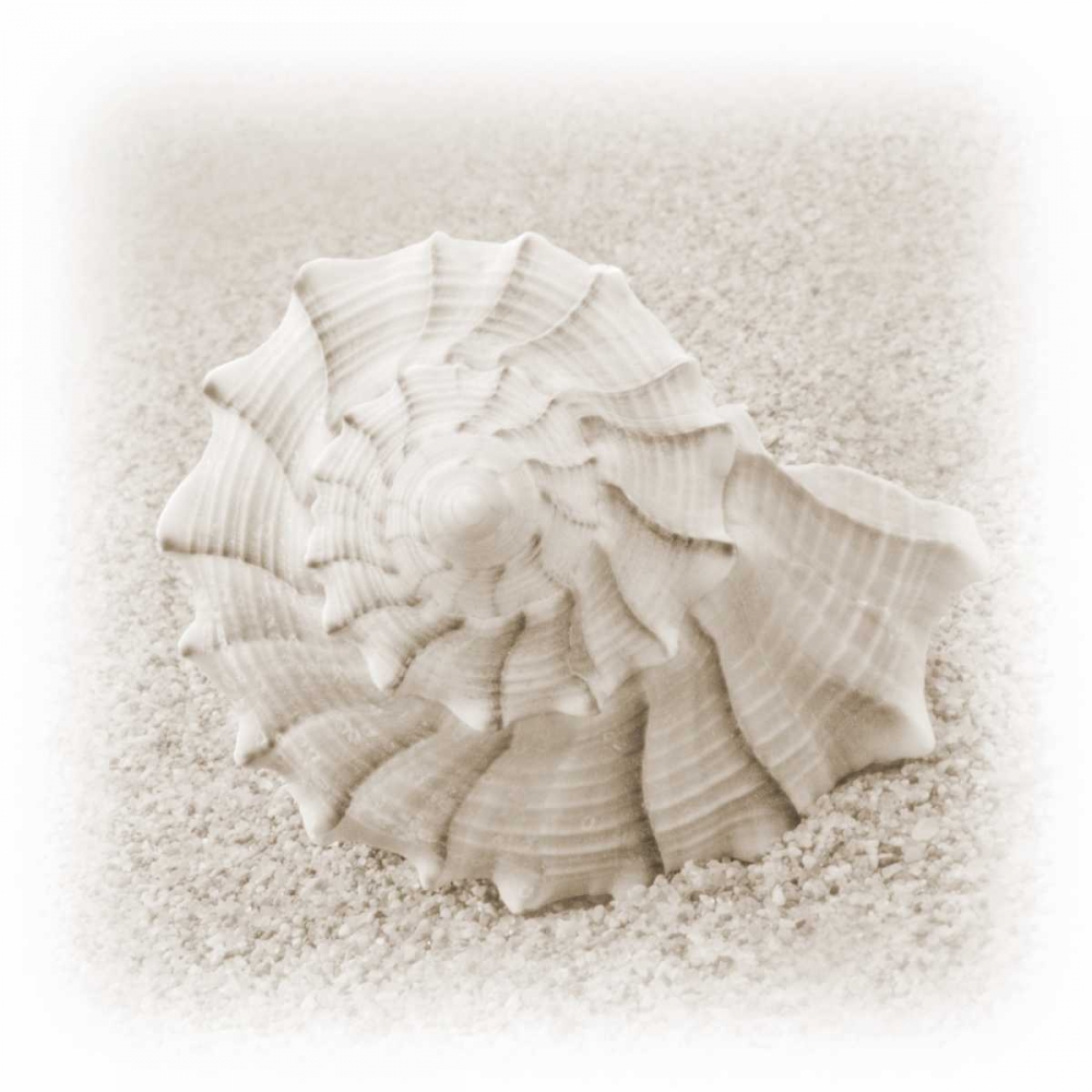 In the Sand I art print by Jim Christensen for $57.95 CAD