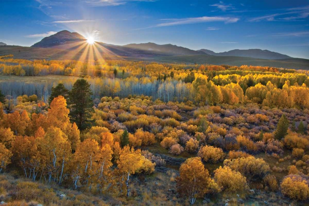 Eastern Sierra II art print by Mark Geistweite for $57.95 CAD