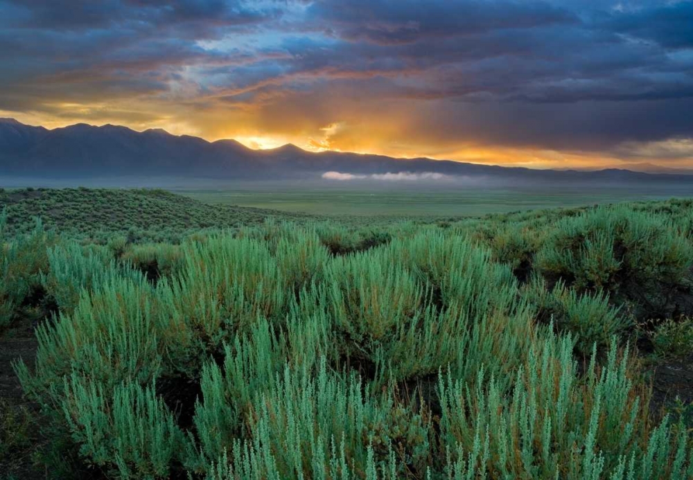 Benton Crossing II art print by Mark Geistweite for $57.95 CAD