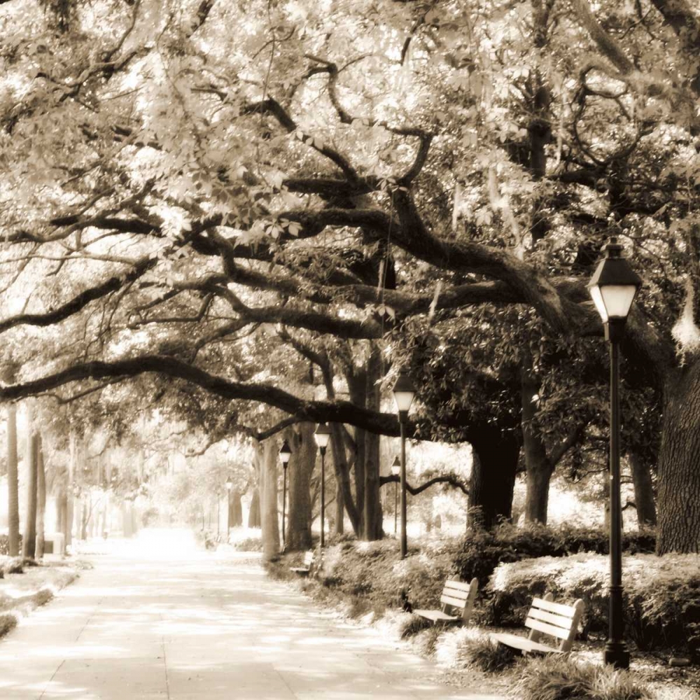 Savannah Sepia Sq I art print by Alan Hausenflock for $57.95 CAD