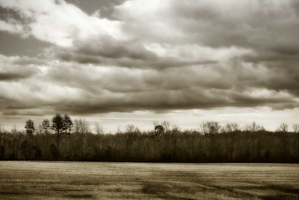 Winter Fields III art print by Alan Hausenflock for $57.95 CAD