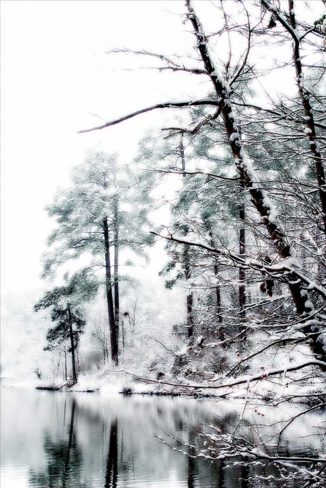 Shelly Lake in Winter I art print by Alan Hausenflock for $57.95 CAD