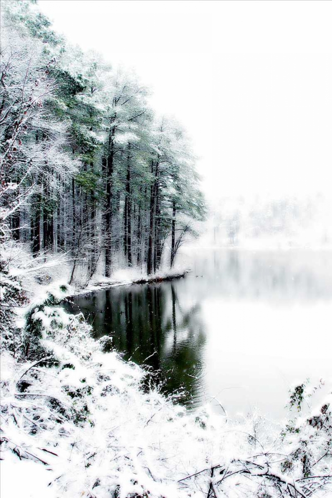 Shelly Lake in Winter II art print by Alan Hausenflock for $57.95 CAD