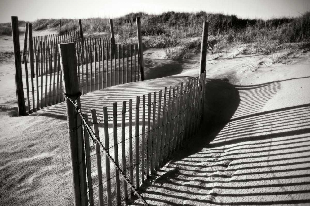 Dunes Fence IV art print by Alan Hausenflock for $57.95 CAD