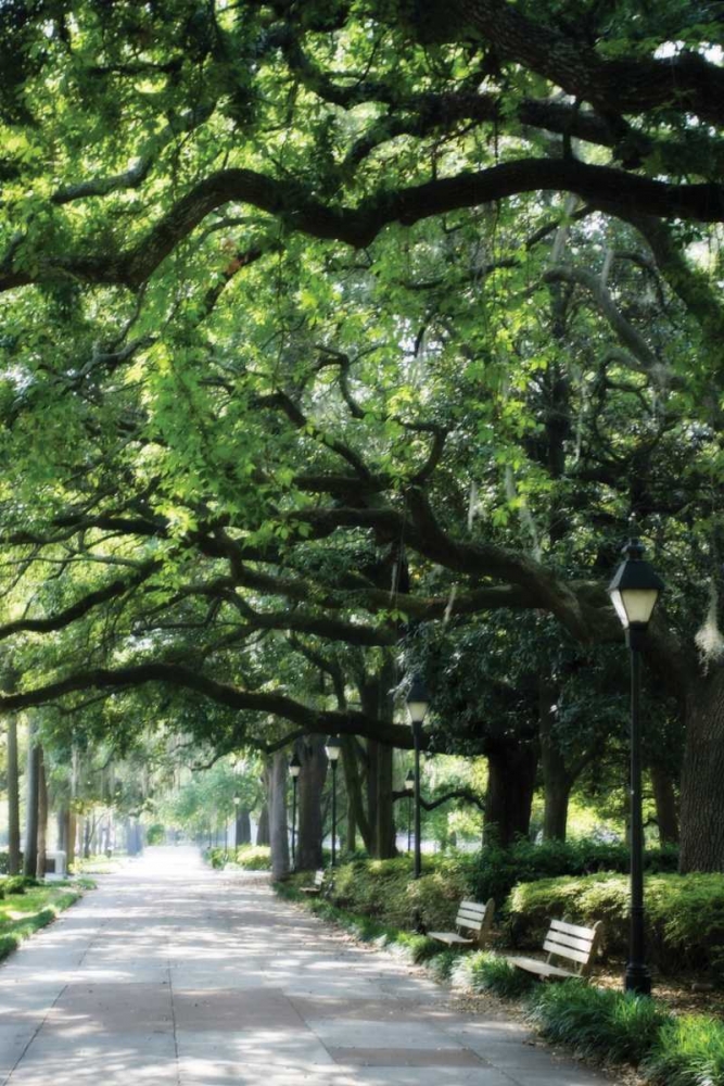 Savannah Sidewalk I art print by Alan Hausenflock for $57.95 CAD