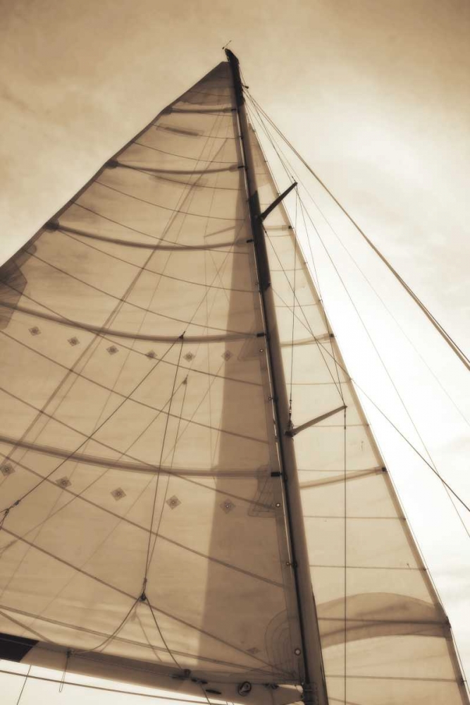 Beaufort Sails I art print by Alan Hausenflock for $57.95 CAD