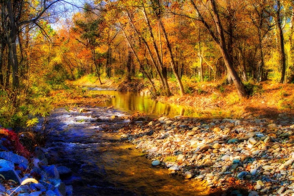 Autumn Waters I art print by Alan Hausenflock for $57.95 CAD