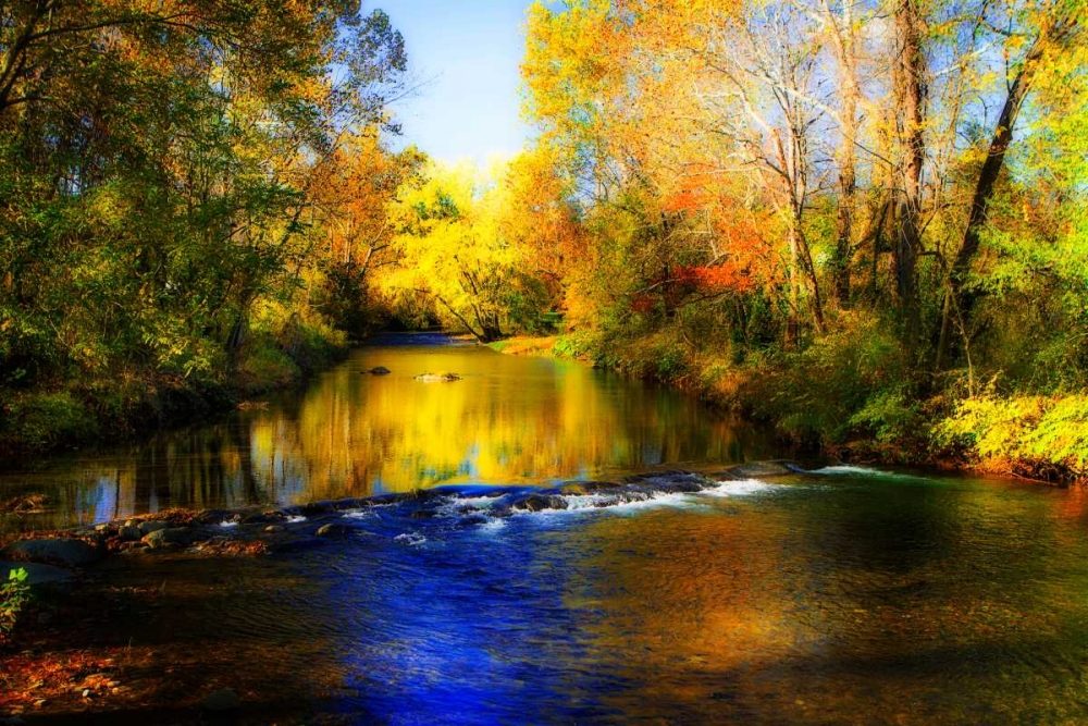 Autumn Waters II art print by Alan Hausenflock for $57.95 CAD
