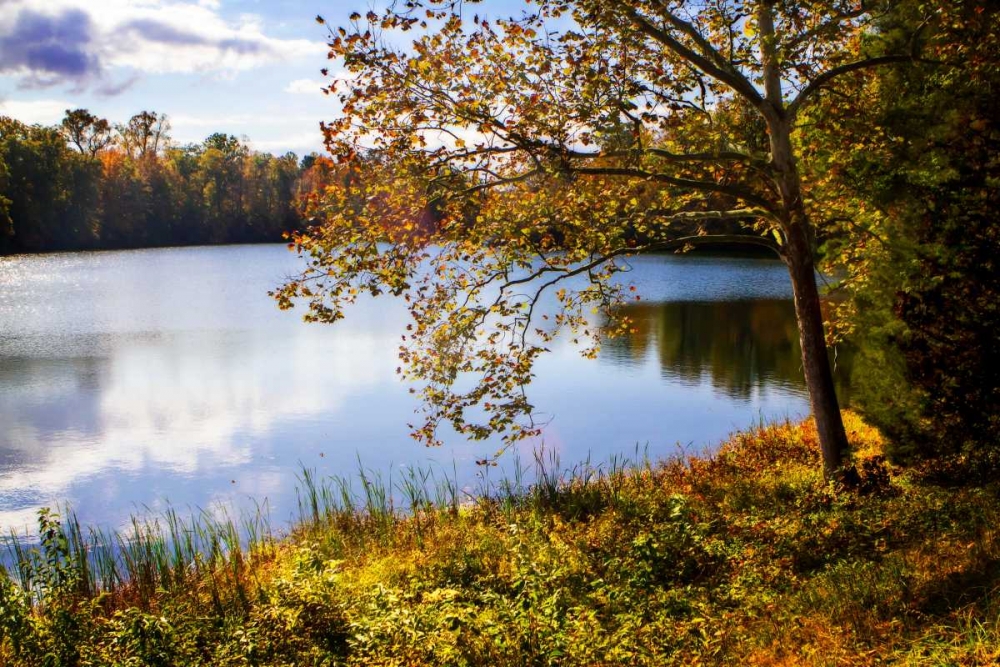 Horseshoe Lake in Autumn art print by Alan Hausenflock for $57.95 CAD
