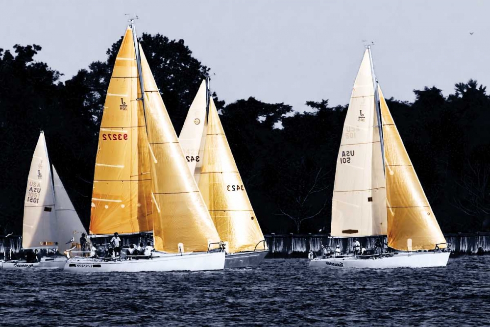 Race at Annapolis V art print by Alan Hausenflock for $57.95 CAD