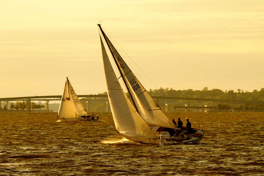 Severn River Sailing II art print by Alan Hausenflock for $57.95 CAD