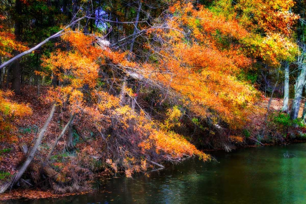 Color Of Fall III art print by Alan Hausenflock for $57.95 CAD