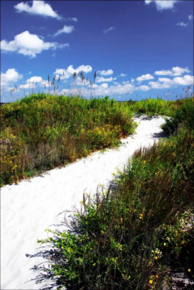 A Sandy Pathway II art print by Alan Hausenflock for $57.95 CAD