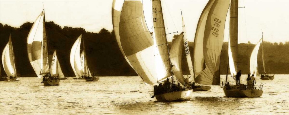 Sailing Home III art print by Alan Hausenflock for $57.95 CAD