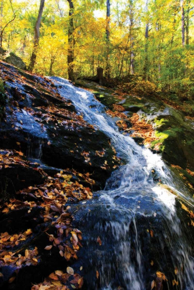 Autumn Waterfall I art print by Alan Hausenflock for $57.95 CAD
