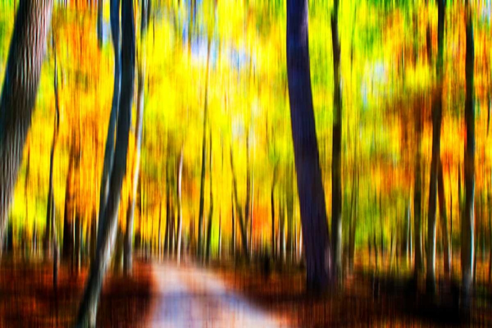 Autumn Impressions III art print by Alan Hausenflock for $57.95 CAD