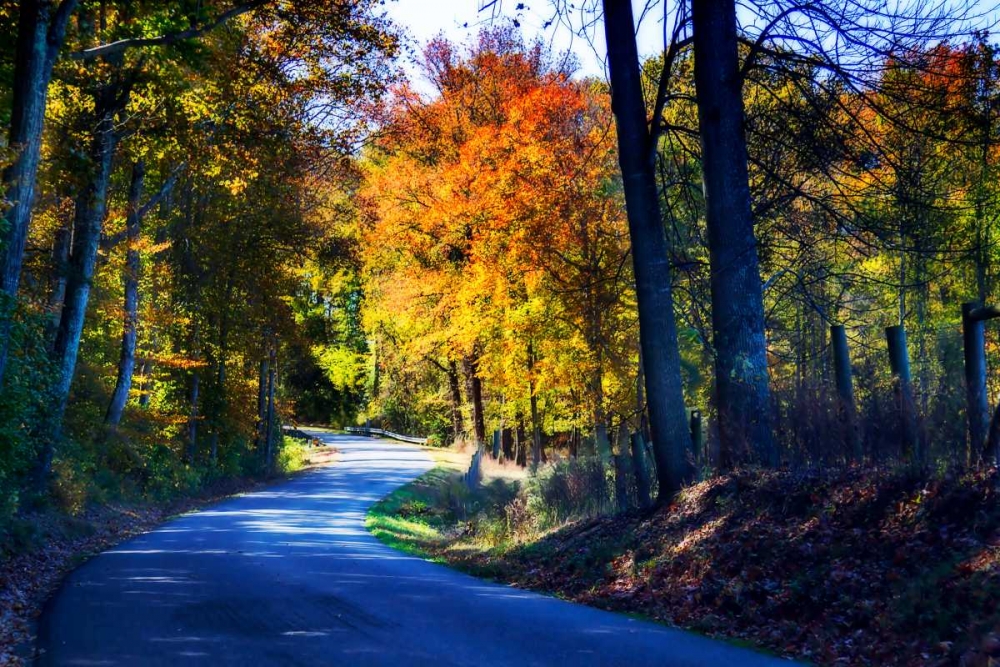Twisting Autumn Road I art print by Alan Hausenflock for $57.95 CAD