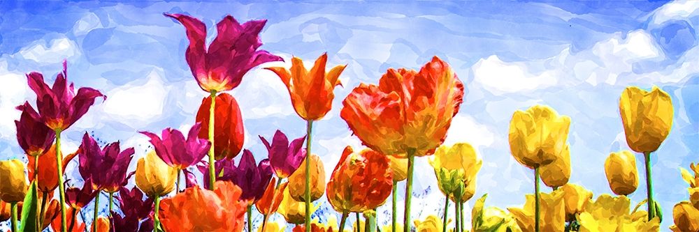 Tulips in the Sun II art print by Alan Hausenflock for $57.95 CAD