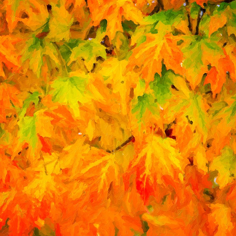 Autumn Leaves I art print by Alan Hausenflock for $57.95 CAD