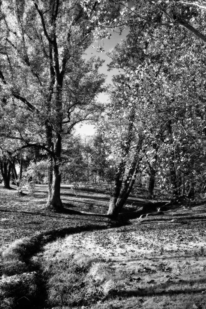 A Small Creek art print by Alan Hausenflock for $57.95 CAD