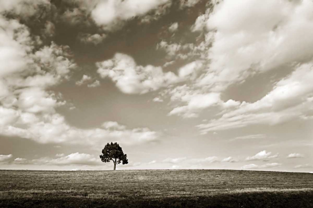 Cloudy Skies III art print by Alan Hausenflock for $57.95 CAD