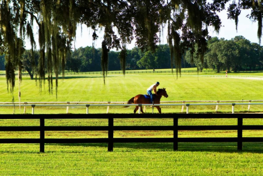 Training Day I art print by Alan Hausenflock for $57.95 CAD