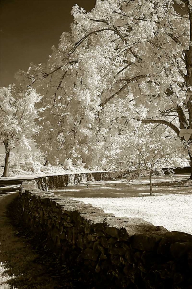 Seminary Wall art print by Alan Hausenflock for $57.95 CAD