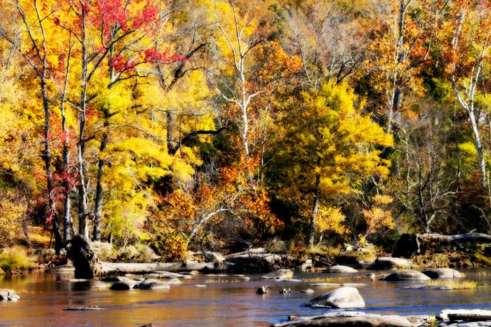 Autumn on the River VII art print by Alan Hausenflock for $57.95 CAD