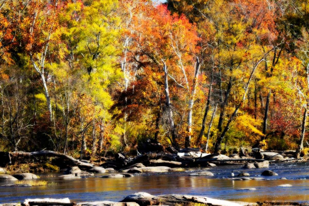 Autumn on the River VIII art print by Alan Hausenflock for $57.95 CAD