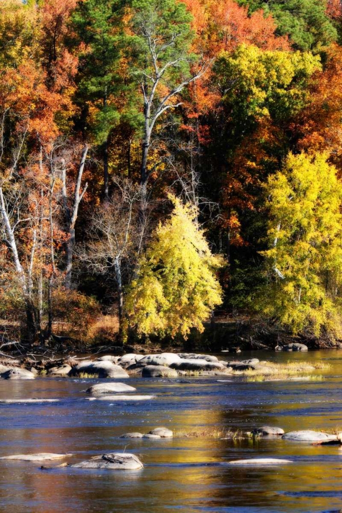 Autumn on the River IX art print by Alan Hausenflock for $57.95 CAD