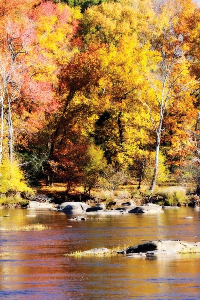 Autumn on the River II art print by Alan Hausenflock for $57.95 CAD