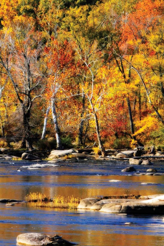 Autumn on the River I2 art print by Alan Hausenflock for $57.95 CAD