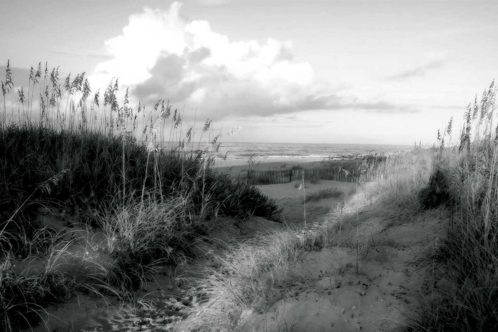 Dunes I art print by Alan Hausenflock for $57.95 CAD