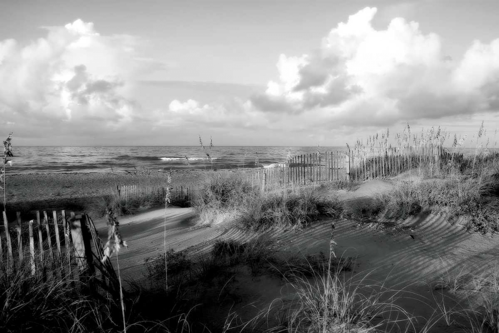 Dunes II art print by Alan Hausenflock for $57.95 CAD