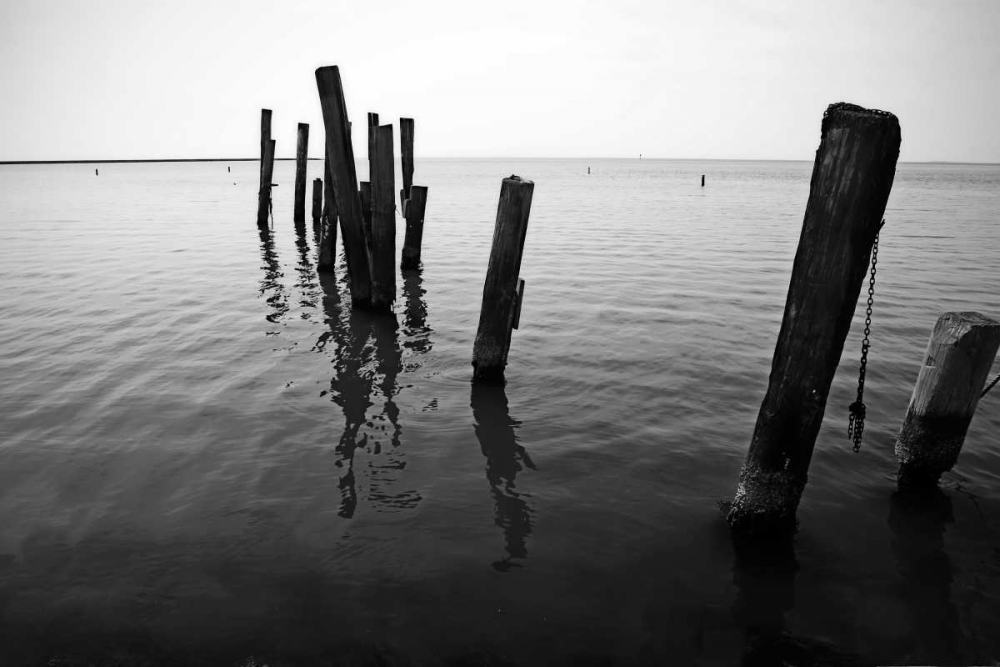 Pilings I art print by Alan Hausenflock for $57.95 CAD