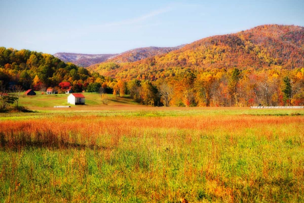 Autumn Fields I art print by Alan Hausenflock for $57.95 CAD