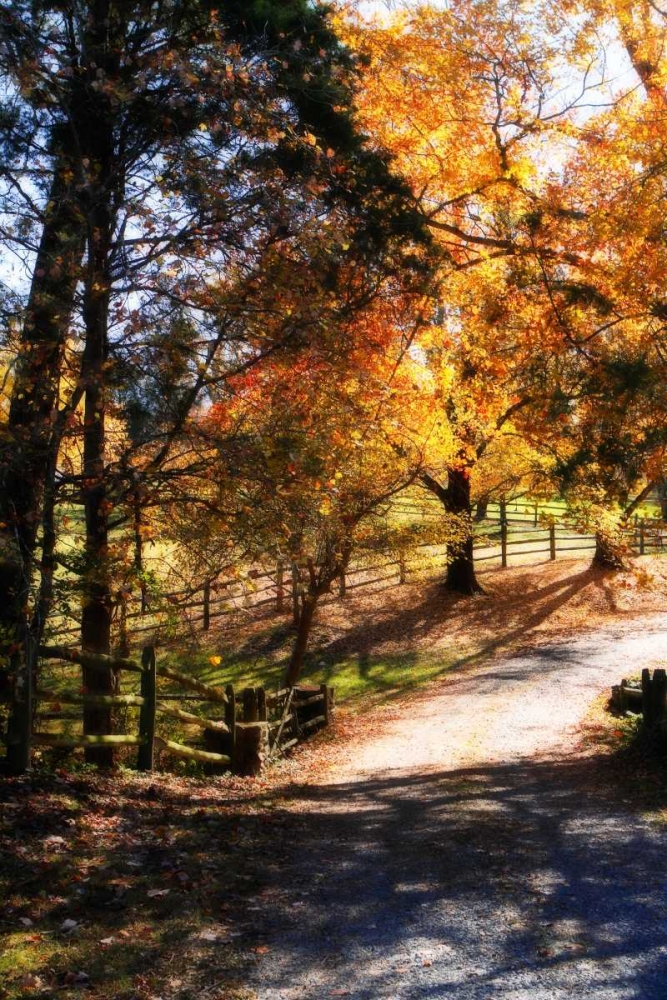 Autumn on Kent Farm III art print by Alan Hausenflock for $57.95 CAD