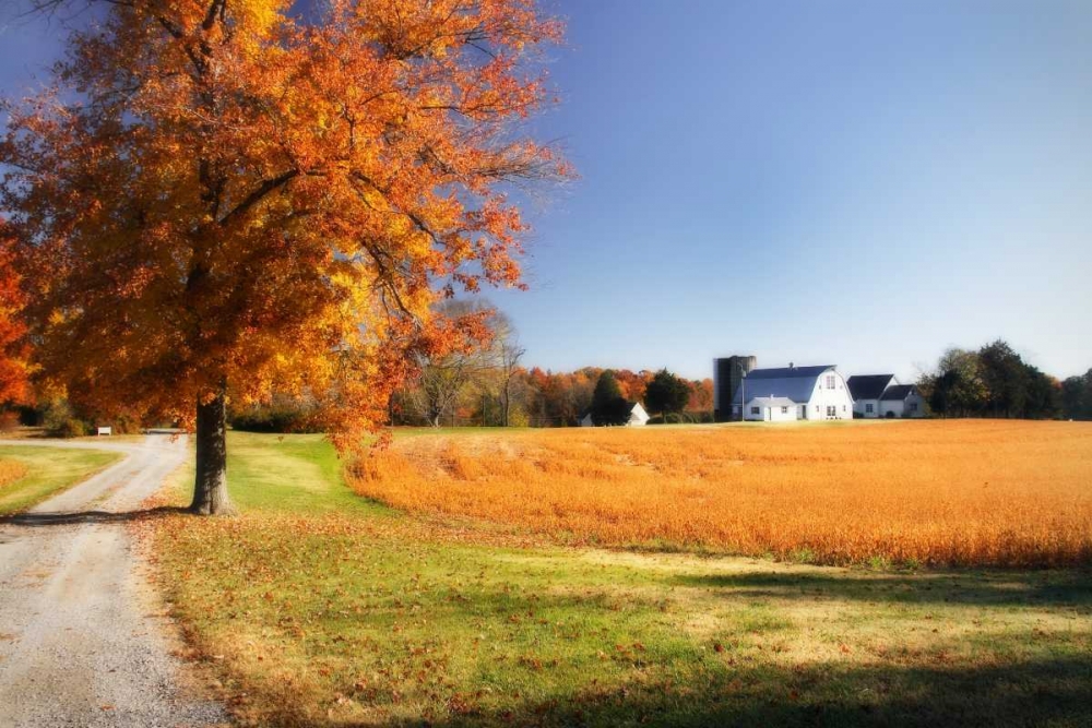 Family Farm I art print by Alan Hausenflock for $57.95 CAD