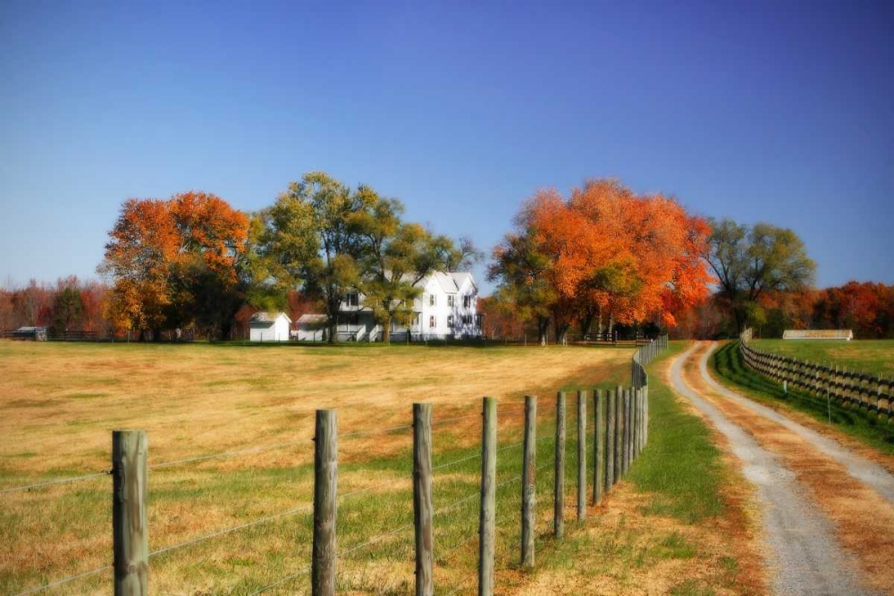 Family Farm II art print by Alan Hausenflock for $57.95 CAD