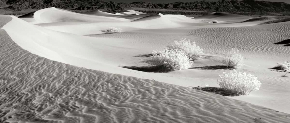 Death Valley Dunes II art print by George Johnson for $57.95 CAD
