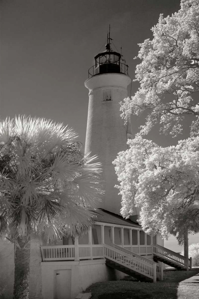 St. Marks Lighthouse art print by George Johnson for $57.95 CAD