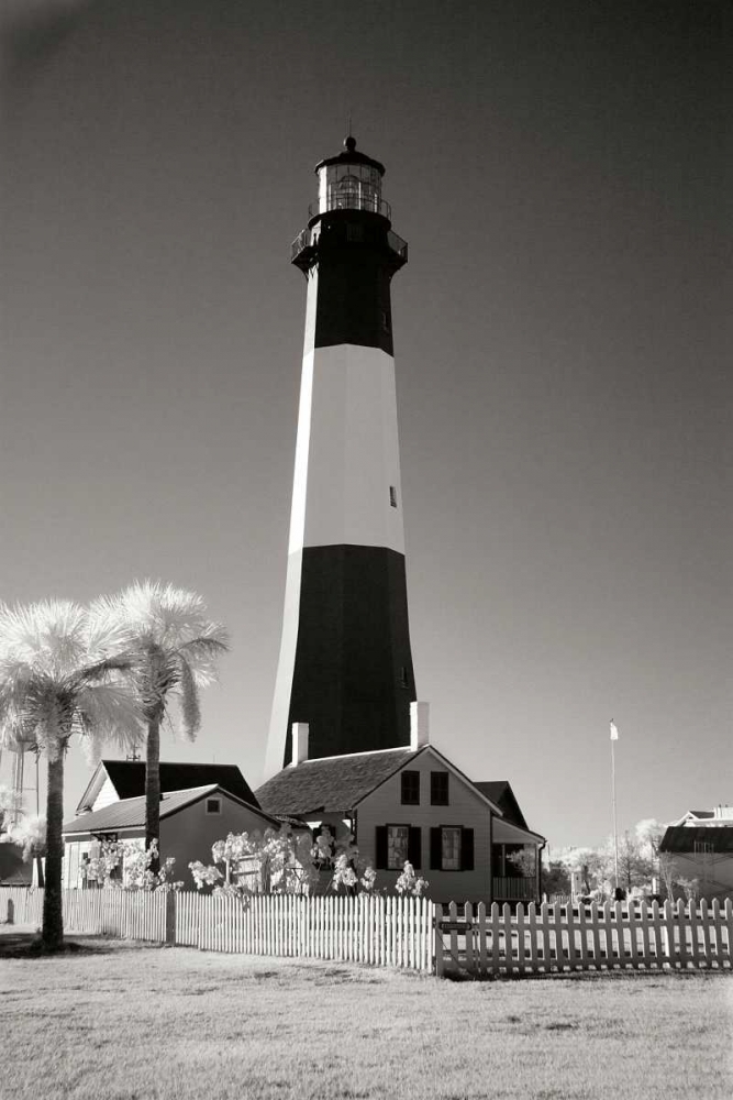 Tybee Island Lighthouse art print by George Johnson for $57.95 CAD