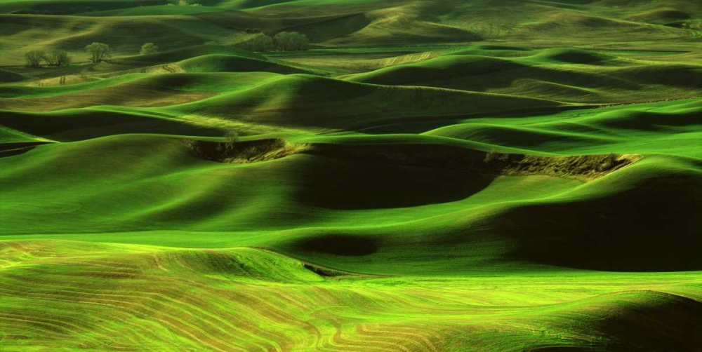 Palouse Green art print by Ike Leahy for $57.95 CAD