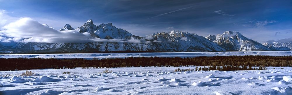 Grand Tetons Winter art print by Ike Leahy for $57.95 CAD