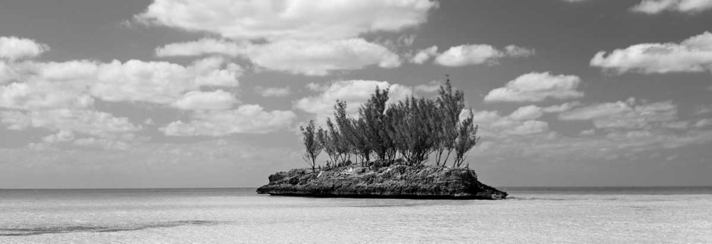 Gaulding Cay Conch BW Panel art print by Larry Malvin for $57.95 CAD