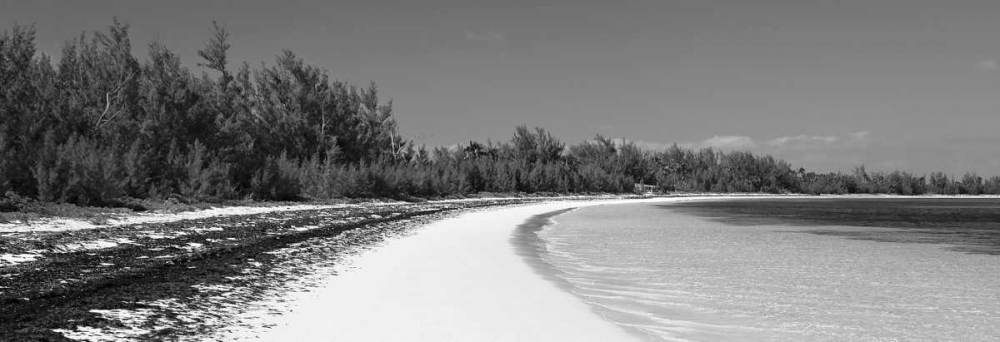 Winding Bay II BW Panel art print by Larry Malvin for $57.95 CAD