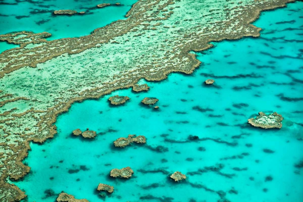 Great Barrier Reef I art print by Larry Malvin for $57.95 CAD