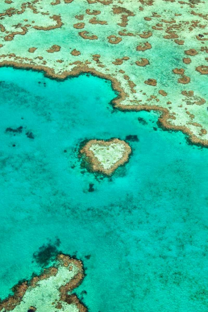 Heart Reef I art print by Larry Malvin for $57.95 CAD
